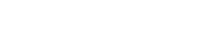FranchisingPlus Logo